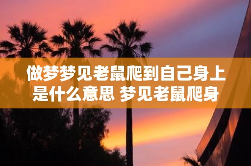 做梦梦见老鼠爬到自己身上是什么意思 梦见老鼠爬身上有何寓意