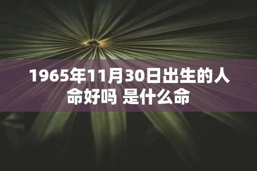 1965年11月30日出生的人命好吗 是什么命