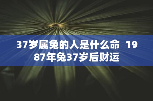 37岁属兔的人是什么命 1987年兔37岁后财运