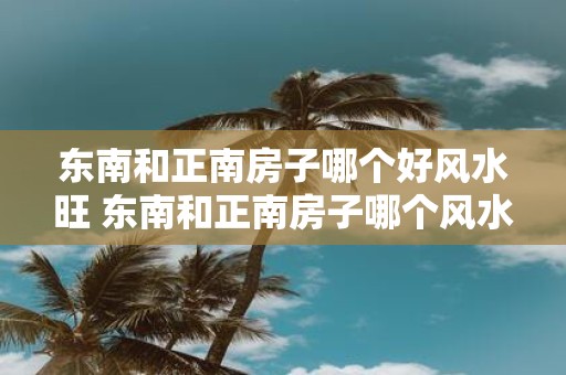 东南和正南房子哪个好风水旺 东南和正南房子哪个风水更旺