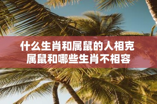 什么生肖和属鼠的人相克 属鼠和哪些生肖不相容