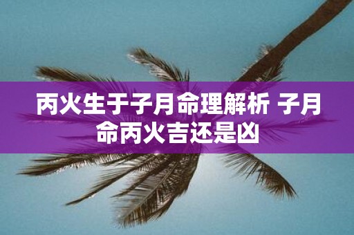 丙火生于子月命理解析 子月命丙火吉还是凶