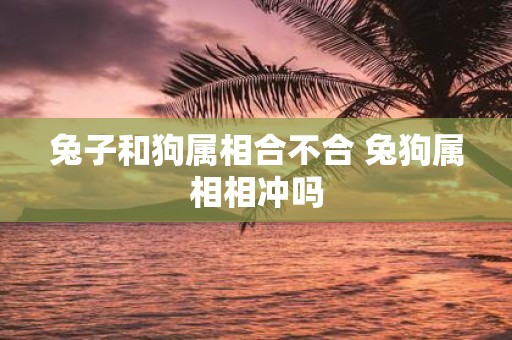 兔子和狗属相合不合 兔狗属相相冲吗