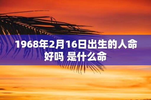 1968年2月16日出生的人命好吗 是什么命