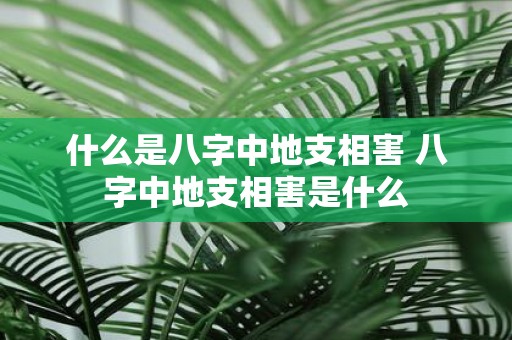 什么是八字中地支相害 八字中地支相害是什么