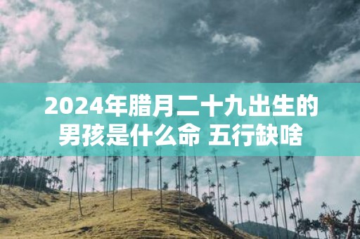 2025年腊月二十九出生的男孩是什么命 五行缺啥
