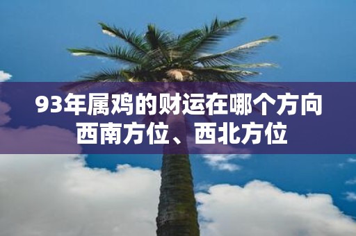 93年属鸡的财运在哪个方向 西南方位、西北方位