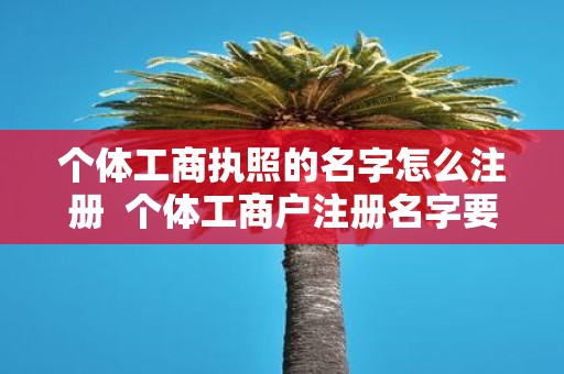 个体工商执照的名字怎么注册 个体工商户注册名字要求