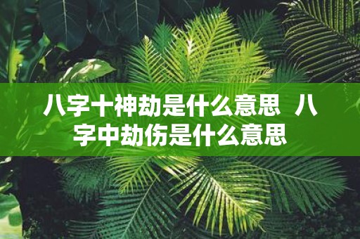 八字十神劫是什么意思 八字中劫伤是什么意思