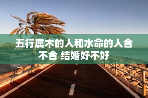 五行属木的人和水命的人合不合 结婚好不好