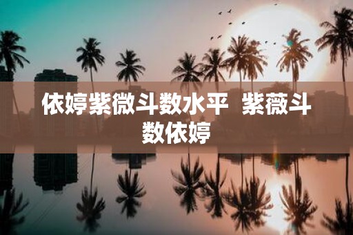 依婷紫微斗数水平 紫薇斗数依婷