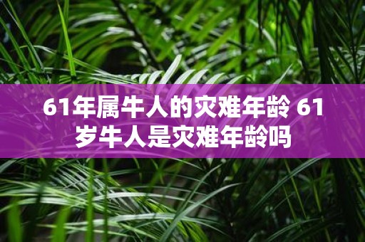 61年属牛人的灾难年龄 61岁牛人是灾难年龄吗