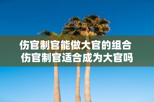 伤官制官能做大官的组合 伤官制官适合成为大官吗