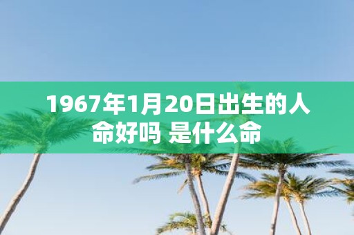 1967年1月20日出生的人命好吗 是什么命