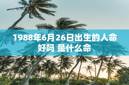 1988年6月26日出生的人命好吗 是什么命