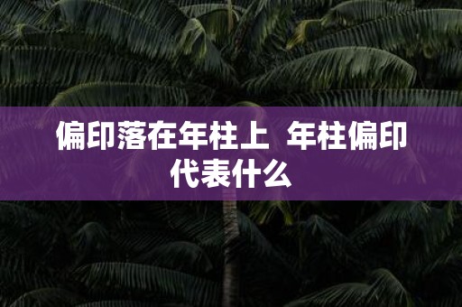 偏印落在年柱上 年柱偏印代表什么