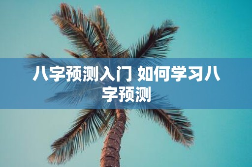 八字预测入门 如何学习八字预测