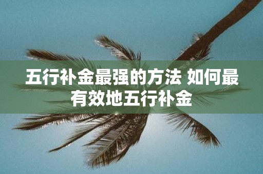 五行补金最强的方法 如何最有效地五行补金
