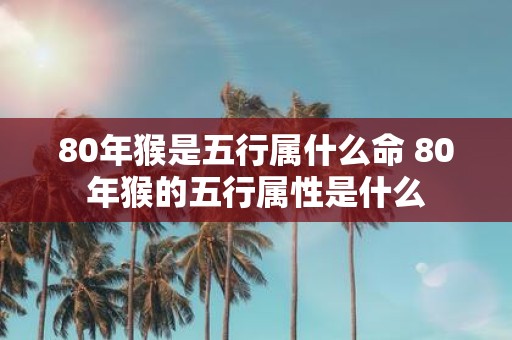80年猴是五行属什么命 80年猴的五行属性是什么