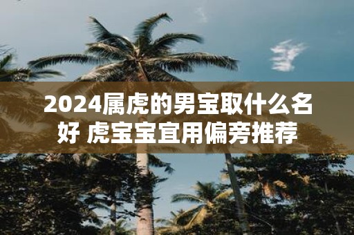 2025属虎的男宝取什么名好 虎宝宝宜用偏旁推荐