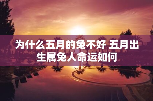 为什么五月的兔不好 五月出生属兔人命运如何
