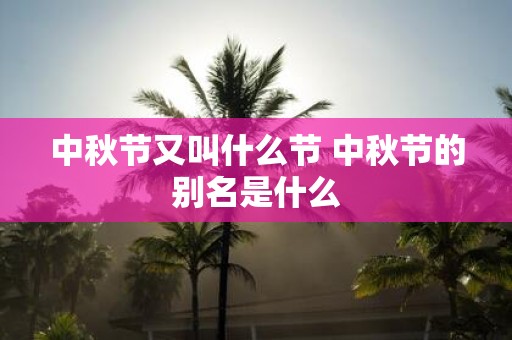 中秋节又叫什么节 中秋节的别名是什么