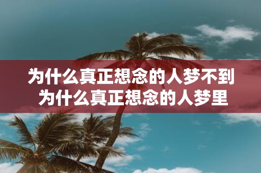 为什么真正想念的人梦不到 为什么真正想念的人梦里不出现
