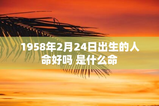 1958年2月24日出生的人命好吗 是什么命