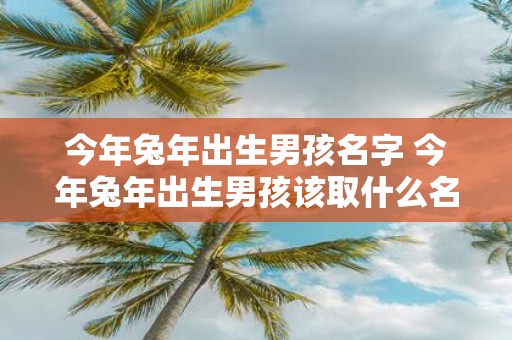 今年蛇年出生男孩名字 今年蛇年出生男孩该取什么名字
