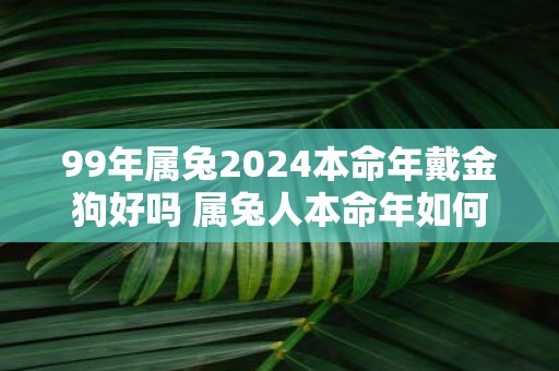 99年属兔2025本命年戴金狗好吗 属兔人本命年如何催旺运势