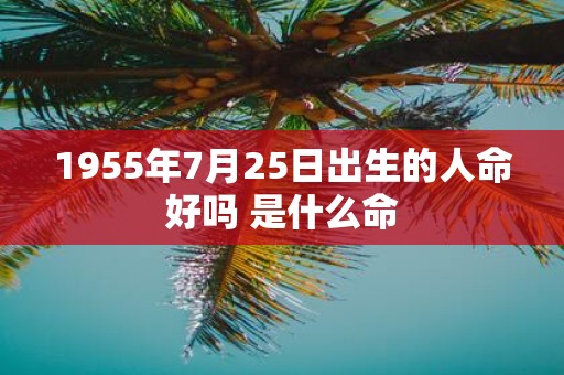 1955年7月25日出生的人命好吗 是什么命