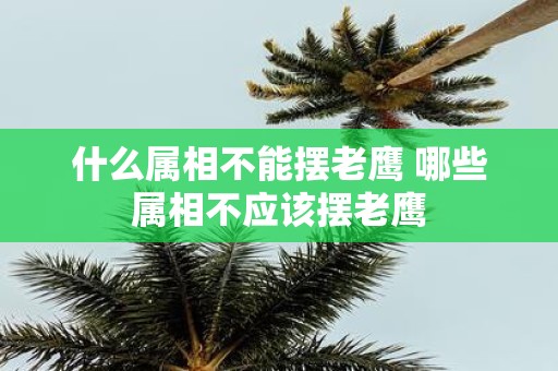 什么属相不能摆老鹰 哪些属相不应该摆老鹰