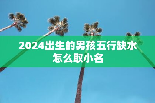 2025出生的男孩五行缺水怎么取小名