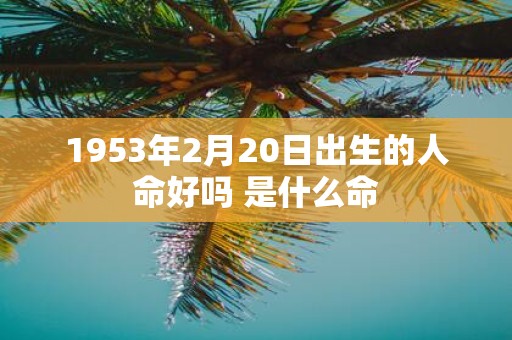 1953年2月20日出生的人命好吗 是什么命
