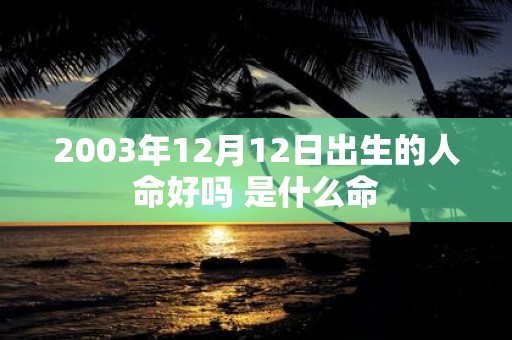 2003年12月12日出生的人命好吗 是什么命