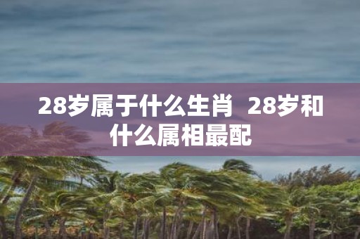 28岁属于什么生肖 28岁和什么属相最配