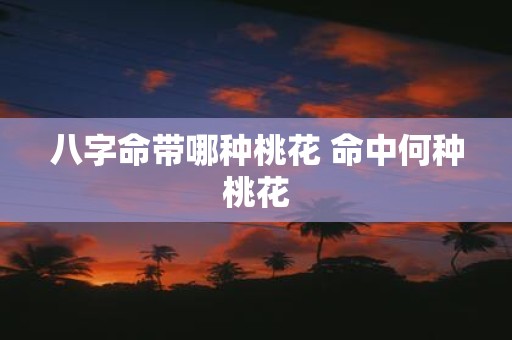八字命带哪种桃花 命中何种桃花