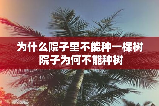 为什么院子里不能种一棵树 院子为何不能种树