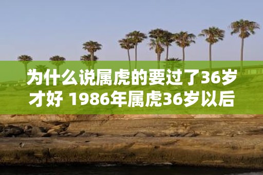 为什么说属虎的要过了36岁才好 1986年属虎36岁以后命运