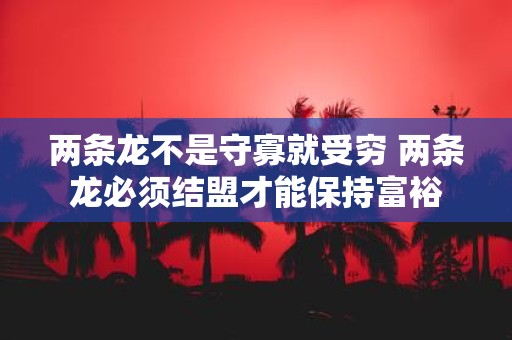 两条龙不是守寡就受穷 两条龙必须结盟才能保持富裕