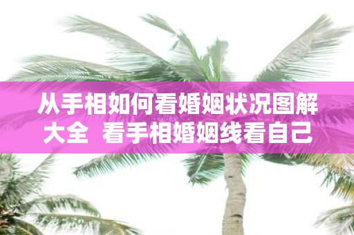 从手相如何看婚姻状况图解大全 看手相婚姻线看自己会有几段婚姻