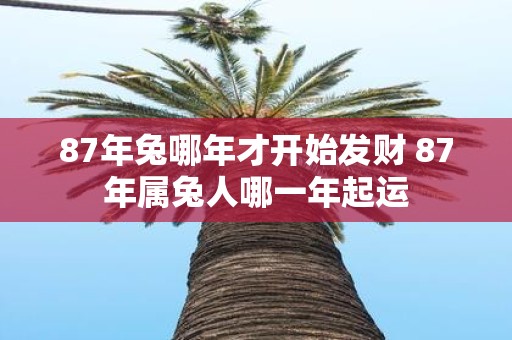 87年兔哪年才开始发财 87年属兔人哪一年起运