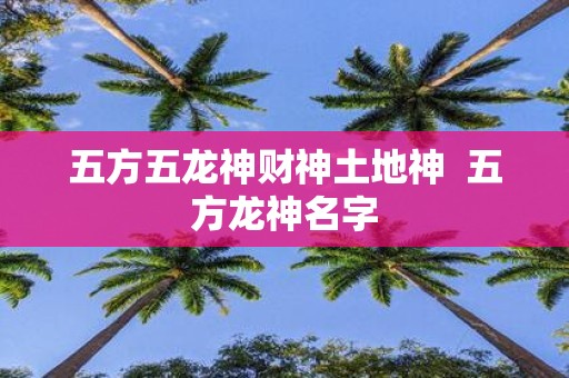 五方五龙神财神土地神 五方龙神名字