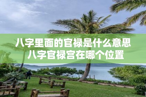 八字里面的官禄是什么意思 八字官禄宫在哪个位置