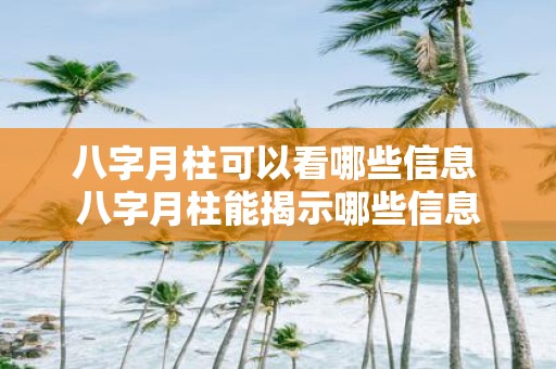 八字月柱可以看哪些信息 八字月柱能揭示哪些信息