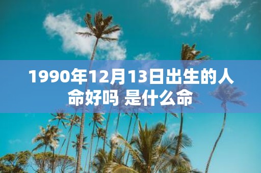 1990年12月13日出生的人命好吗 是什么命