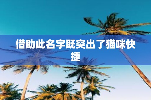 借助此名字既突出了猫咪快捷