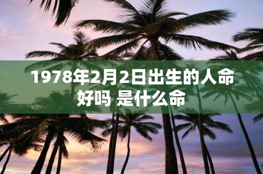 1978年2月2日出生的人命好吗 是什么命