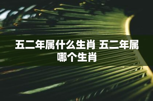 五二年属什么生肖 五二年属哪个生肖