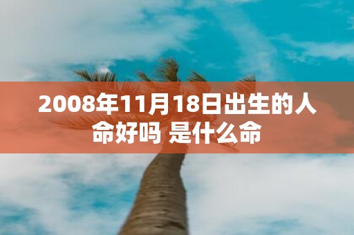 2008年11月18日出生的人命好吗 是什么命